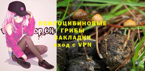 дурь Сафоново