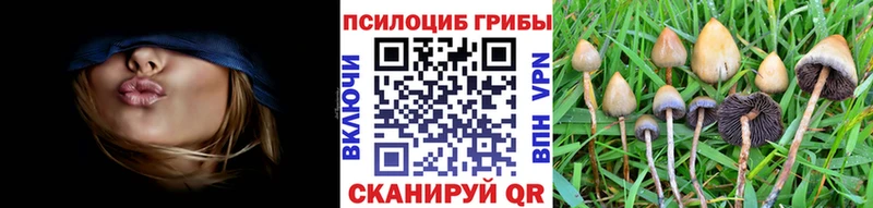 где купить   Кандалакша  Псилоцибиновые грибы прущие грибы 
