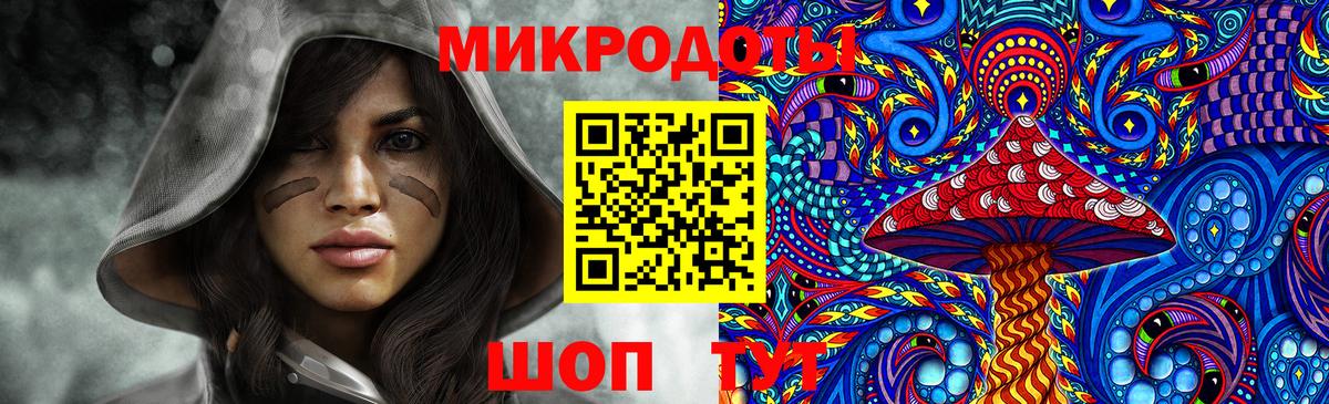 Псилоцибиновые грибы Psilocybe Кандалакша