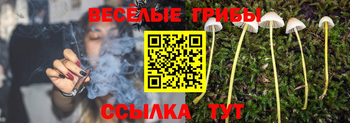 Кандалакша  Галлюциногенные грибы Psilocybine cubensis  Вход с VPN 
